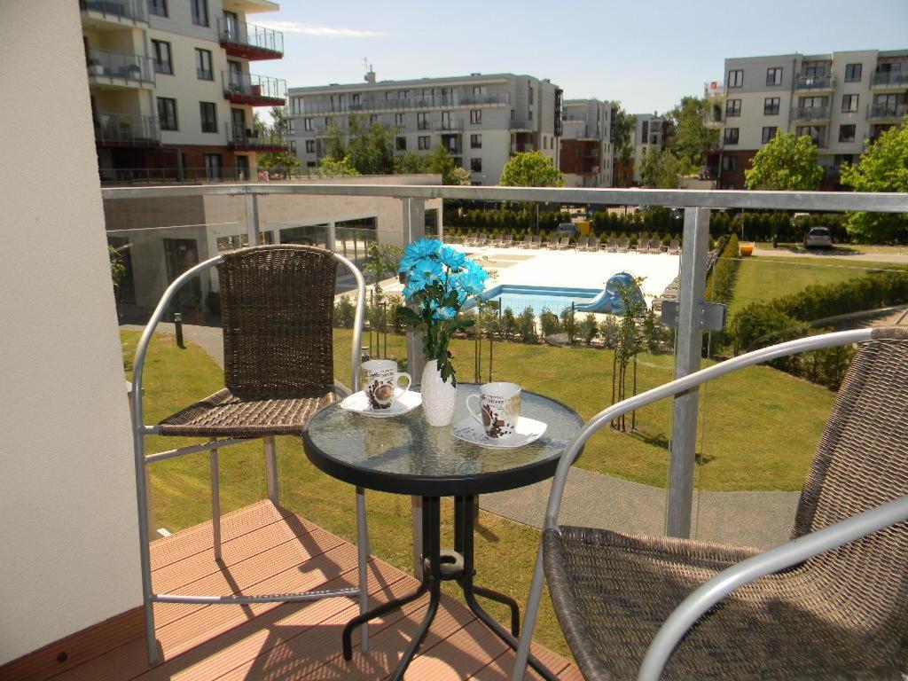 דירות קולובז'ג Apartament Z Basenem Laura Polanki Park מראה חיצוני תמונה